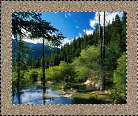 �����ӵ�Ч��