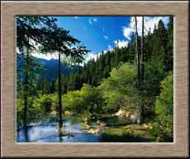 ����Ч��